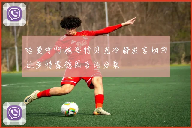 哈曼呼吁施洛特贝克冷静发言切勿让多特蒙德因言论分裂